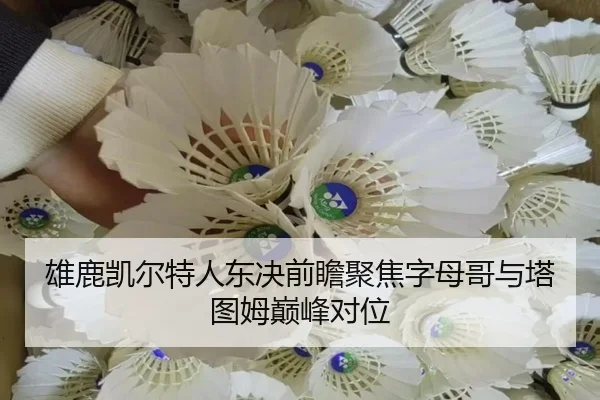 雄鹿凯尔特人东决前瞻聚焦字母哥与塔图姆巅峰对位